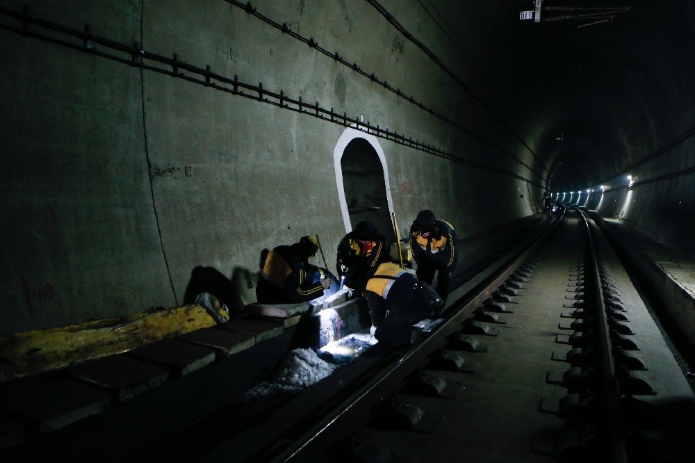 电白铁路运营隧道病害现状